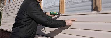 Best Siding Painting and Refinishing  in Port Isabel, TX